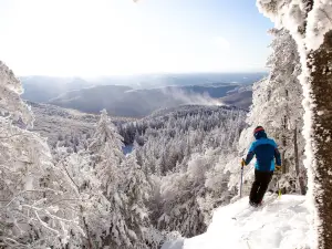 Bolton Valley Resort