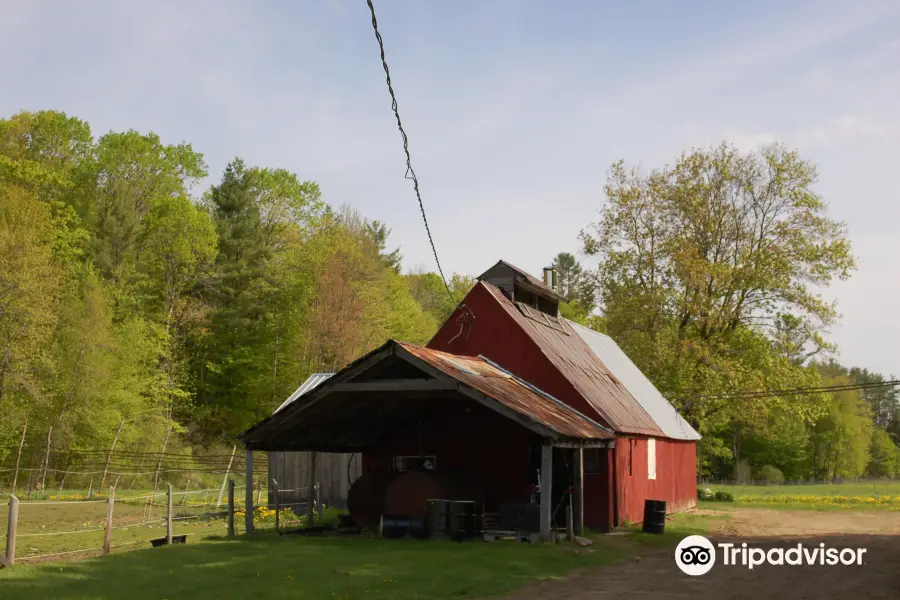 Plummer's Sugar House