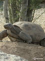 Yuma Conservation Garden