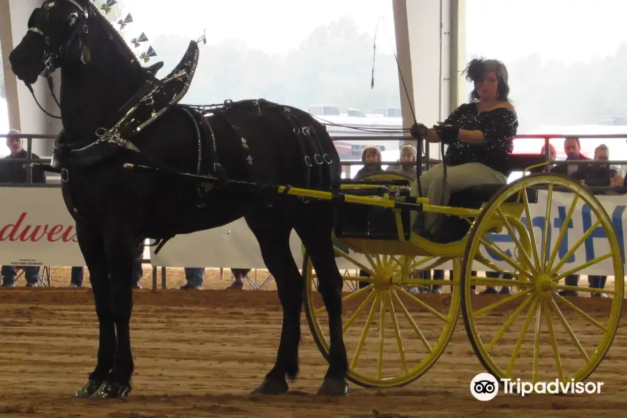 Florida Horse Park