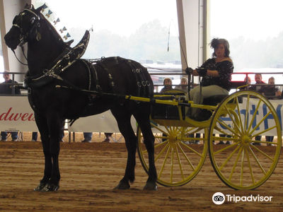Florida Horse Park