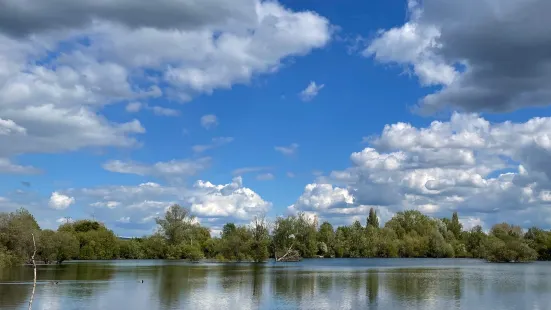 Leybourne Lakes Country Park