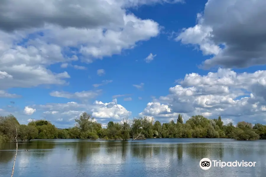 Leybourne Lakes Country Park