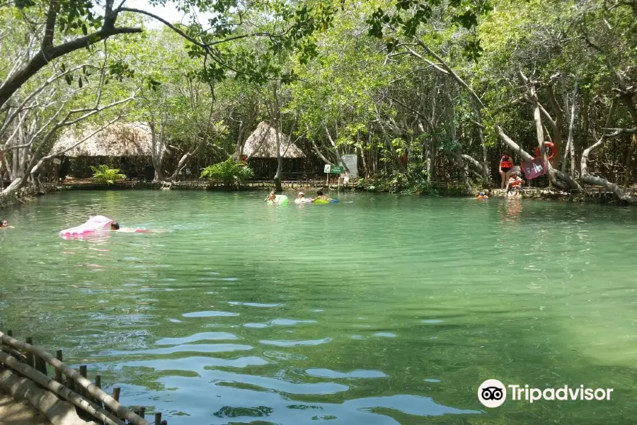 Reserva Ecológica El Corchito Reserva Ecologica El Corchito