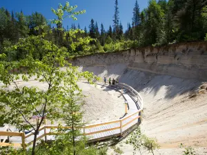 Le Jardin des glaciers