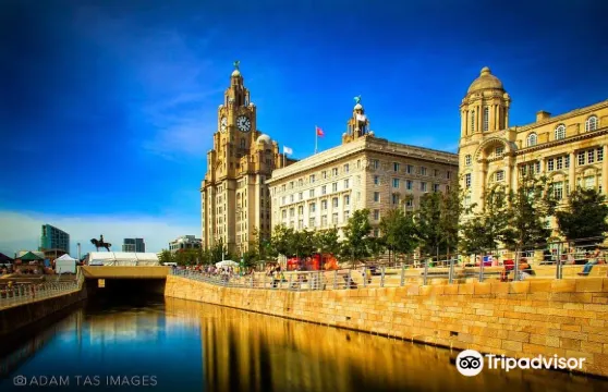 Royal Liver Building360度全景門票成人