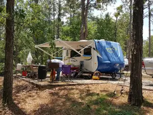 Gordonia Altamaha State Park