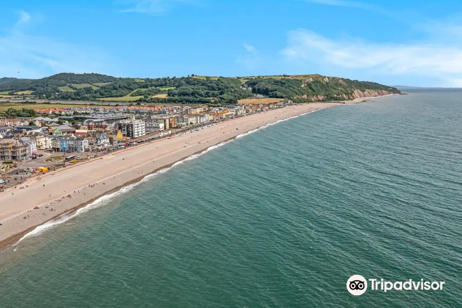 Seaton Beach and Chine