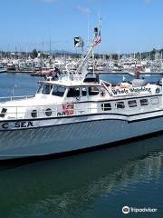 Mystic Sea Charters