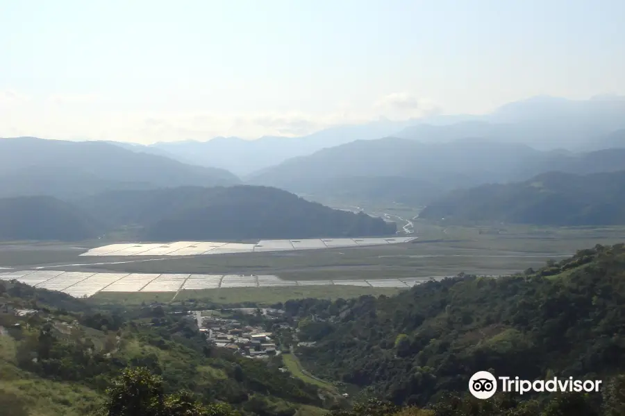 Yilan Datong Yulan Tea Garden