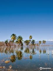 Lake Enriquillo (Lago Enriquillo)