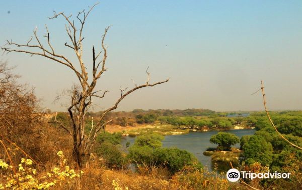 Maun to Kasane flight