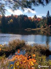 Peck Lake Trail