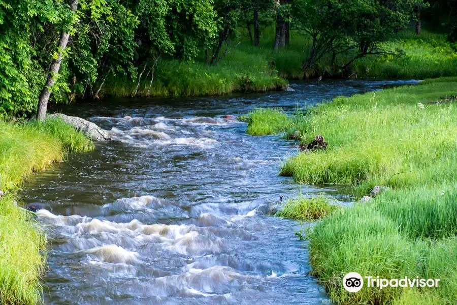 Grace Coolidge Creek