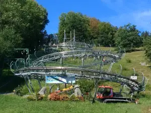 Sommerrodelbahn Bärenbob Grafenau