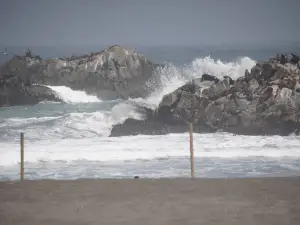 Cobquecura Piedra De La Loberia