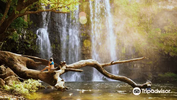 Native's Way Costa Rica - Tours and Transfers