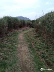 Fish Road Historic Trail