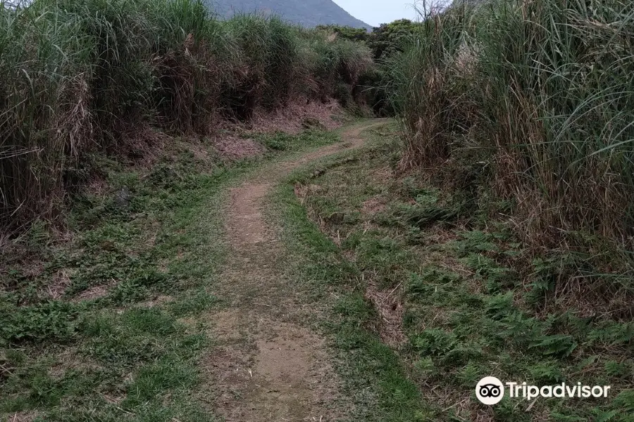 金包裏大路｜魚路古道