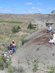 Pioneer Trails Regional Museum