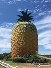 The Big Pineapple