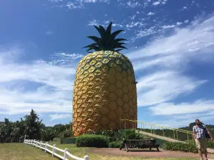 The Big Pineapple