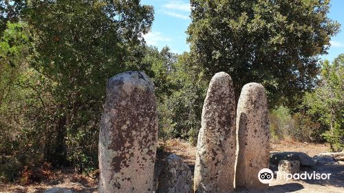 Menhirs Paddaghhu