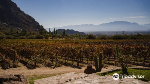 Bodega Finca Las Nubes