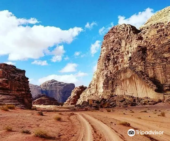 Wadirum Miracles