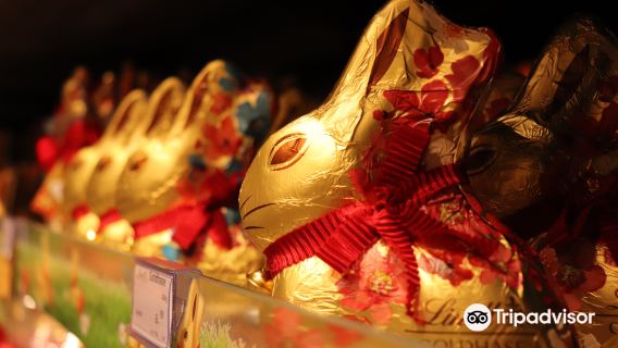 Museo del Cioccolato Lindt a Zurigo + Galleria d'Arte/Università di Zurigo