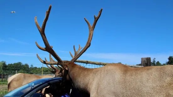 Olympic Game Farm