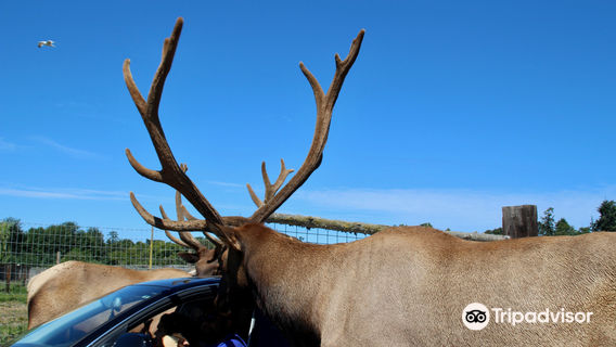 Olympic Game Farm Inc.