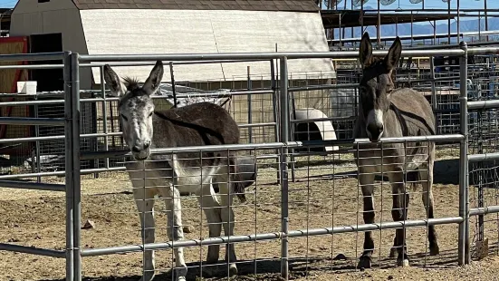 Superstition Farm