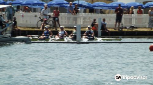 Henley Royal Regatta