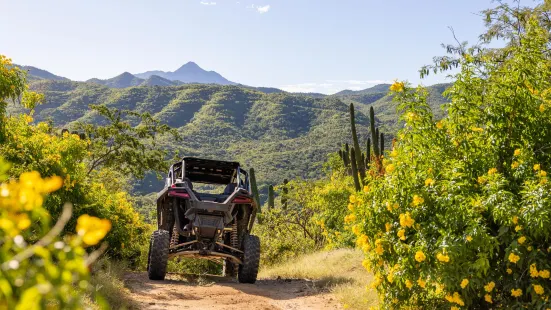 Baja Rock Pirates Backcountry Adventures