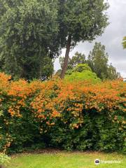 National Botanic Gardens, Kilmacurragh