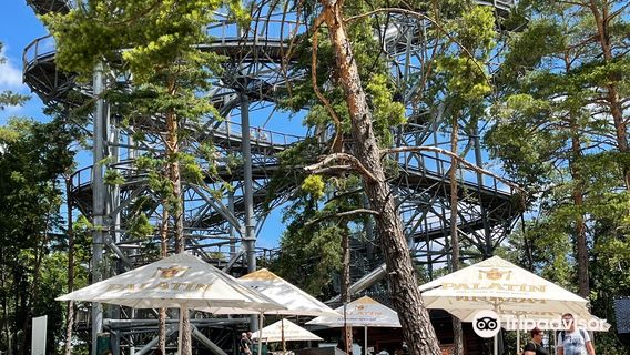 Vyhliadková veža Čajka v oblakoch