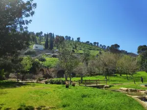 Ma'ayan Harod National Park- Gideon's Spring