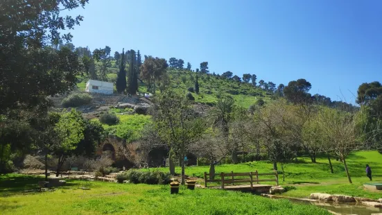 Ma'ayan Harod National Park- Gideon's Spring