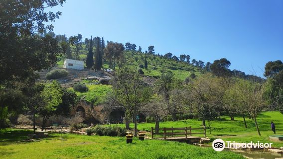 Ma'ayan Harod National Park- Gideon's Spring