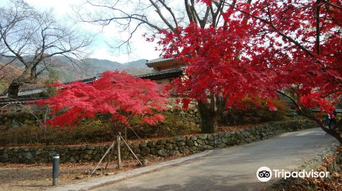 계룡산국립공원