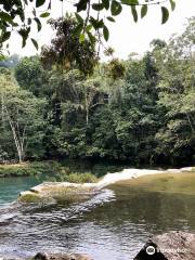 Rio Blanco National Park