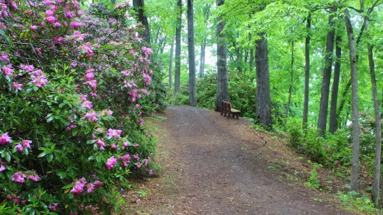 Hamilton Gardens at Lake Chatuge