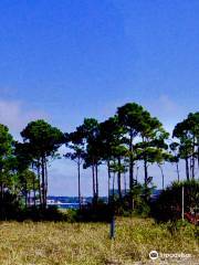 Fort Pickens Area