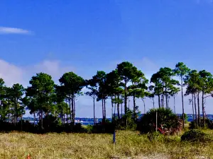Fort Pickens