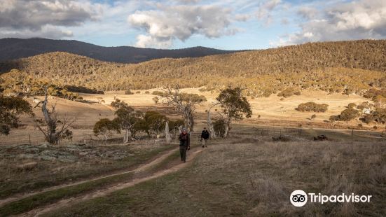 Milky Way Photography Workshops