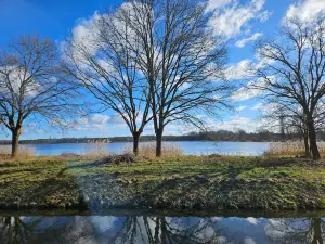 Tankumsee
