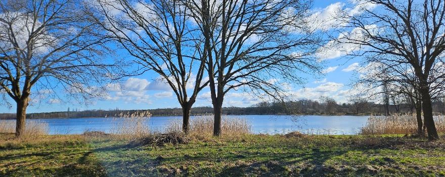 Tankumsee