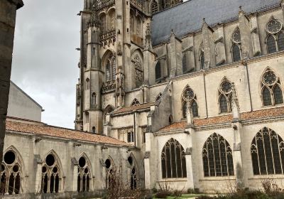 Cathedrale et cloitre Saint Etienne