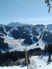 Domaine Skiable Les Gets